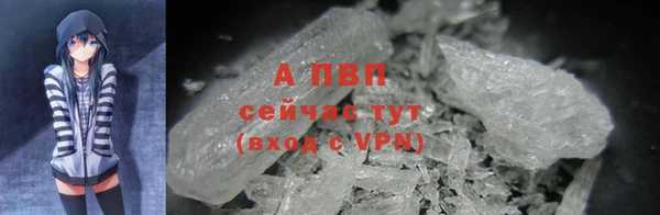 спиды Козловка