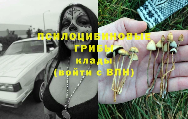 спиды Козловка