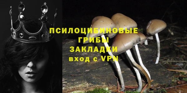 прущие крисы Кинешма