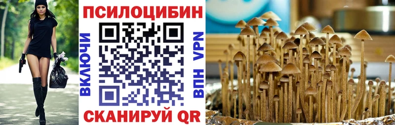 Купить закладки  Монино  Галлюциногенные грибы Cubensis 