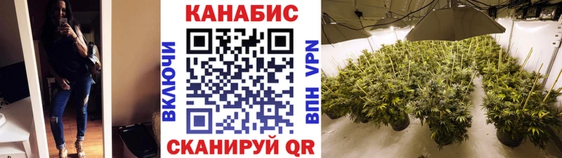Шишки марихуана Bruce Banner  Купить где  Монино 